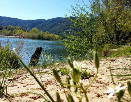 Rivière longeant le camping